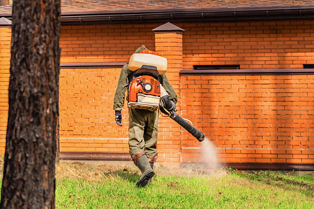 Bed Bug Clearance Verification and Documentation in Bluffton